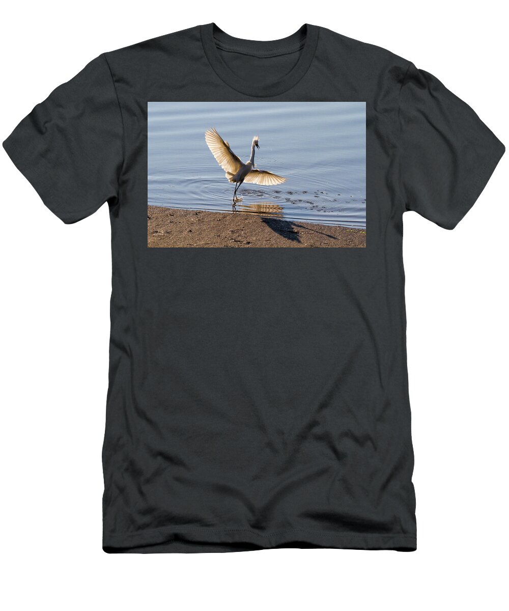 Bird T-Shirt featuring the photograph Showy Snowy by Darryl Hendricks