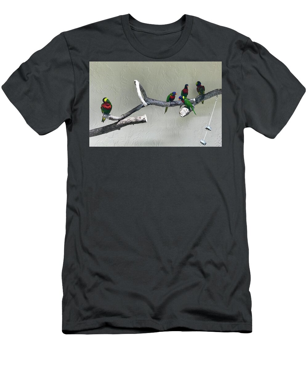 Birds T-Shirt featuring the photograph Shunned by Laura Jaffe