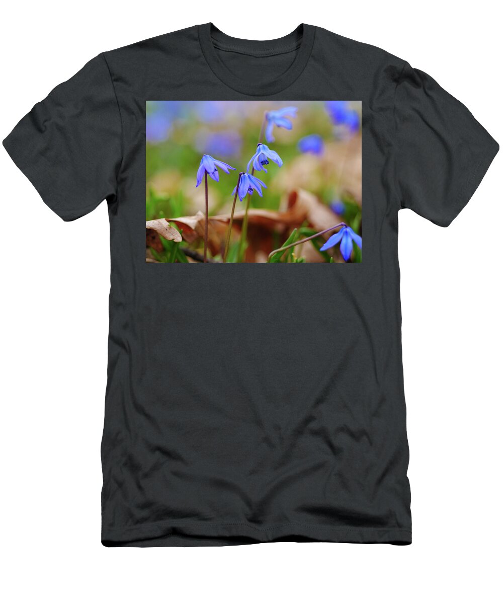 Scilla Siberica T-Shirt featuring the photograph Siberian Squills in Austin Gardens by Todd Bannor