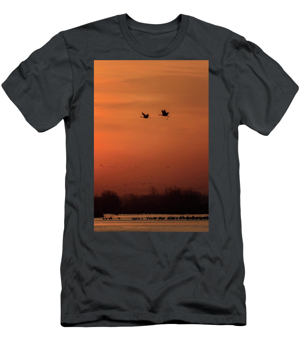 Sandhill Cranes T-Shirt featuring the photograph Sienna Skies #3 by Susan Rissi Tregoning