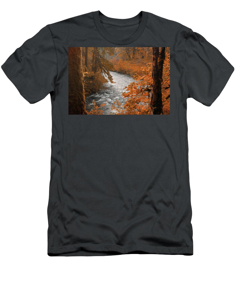 Water T-Shirt featuring the photograph Silver Creek by Don Schwartz