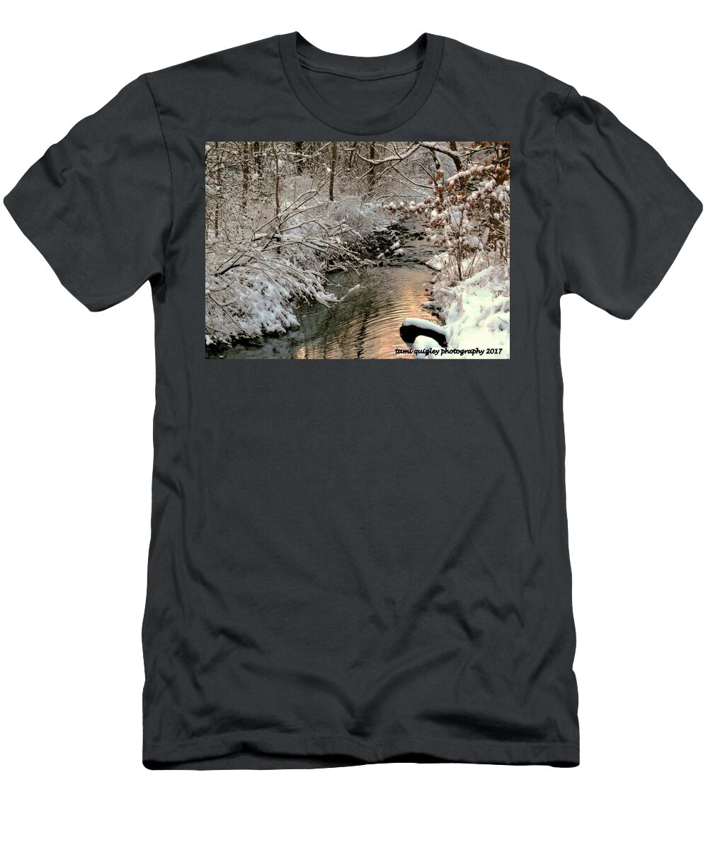Winter T-Shirt featuring the photograph Silvered Shores by Tami Quigley