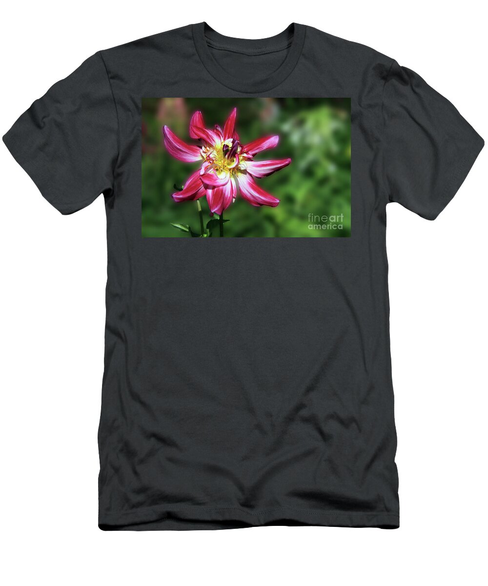 Flower T-Shirt featuring the photograph Simply Gorgeous by Teresa Zieba