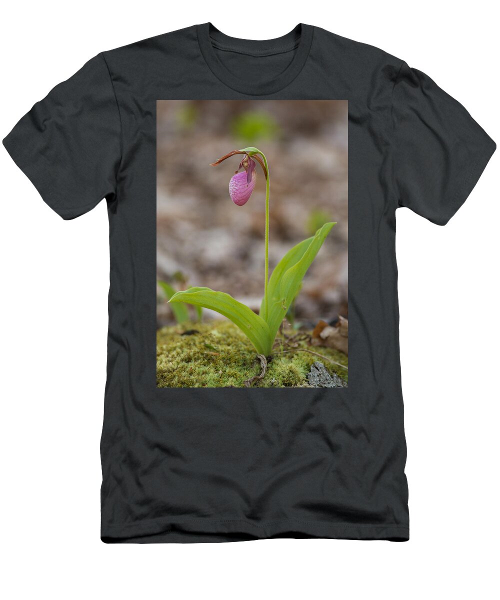 Spring T-Shirt featuring the photograph Single by Joye Ardyn Durham