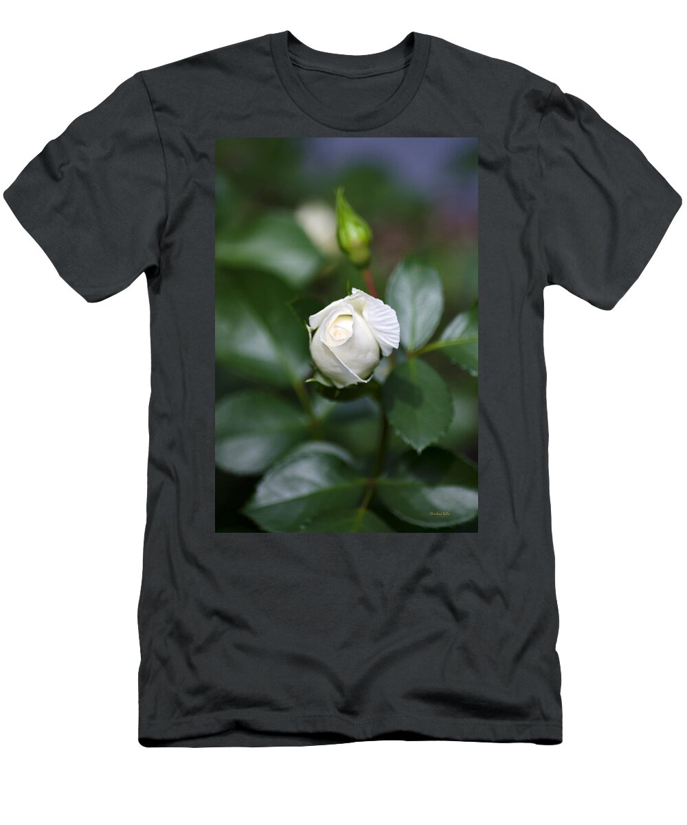Roses T-Shirt featuring the photograph Single White Rose by Christina Rollo