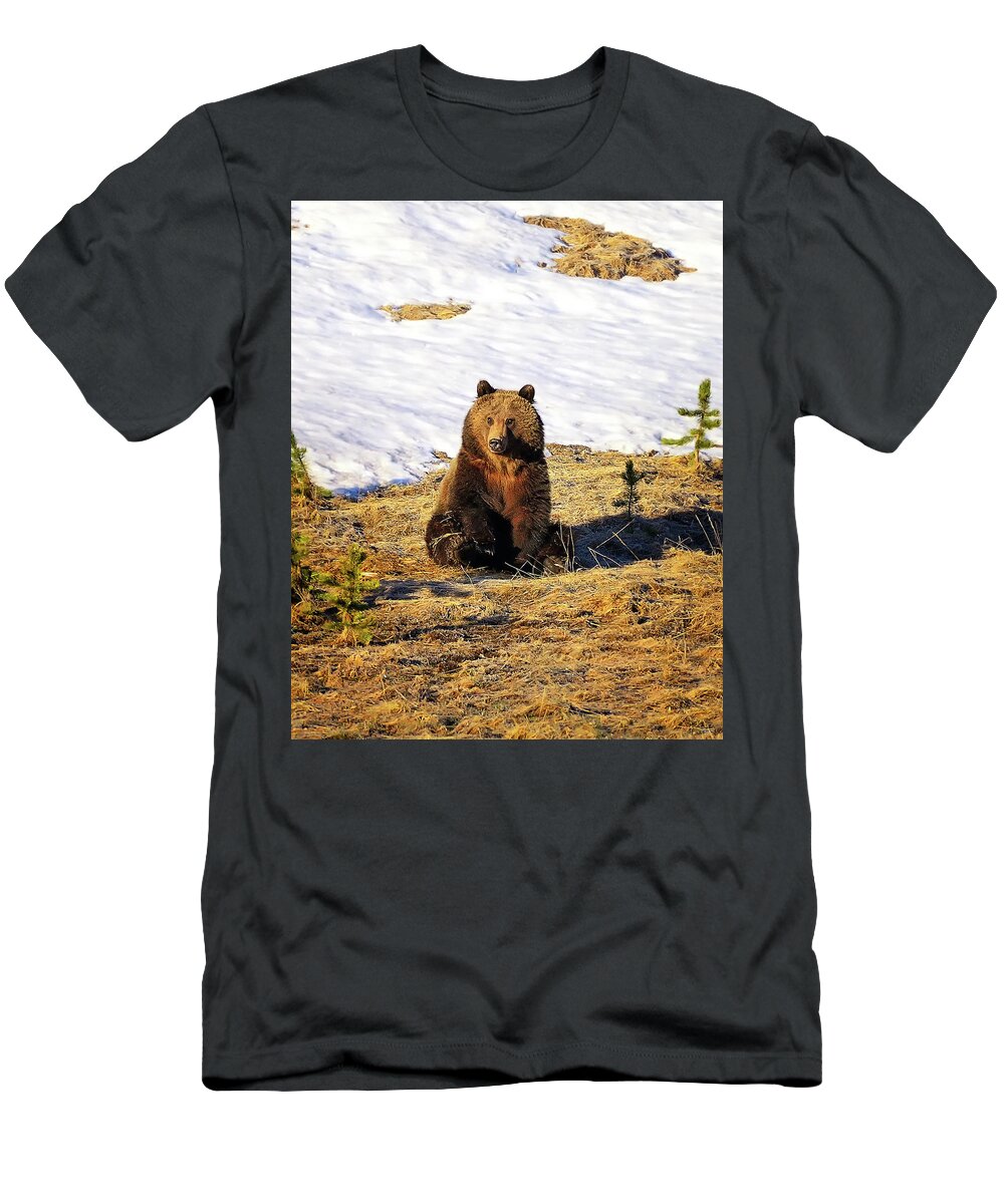 Grizzly Bear T-Shirt featuring the photograph Sit Up And Take Notice by Greg Norrell