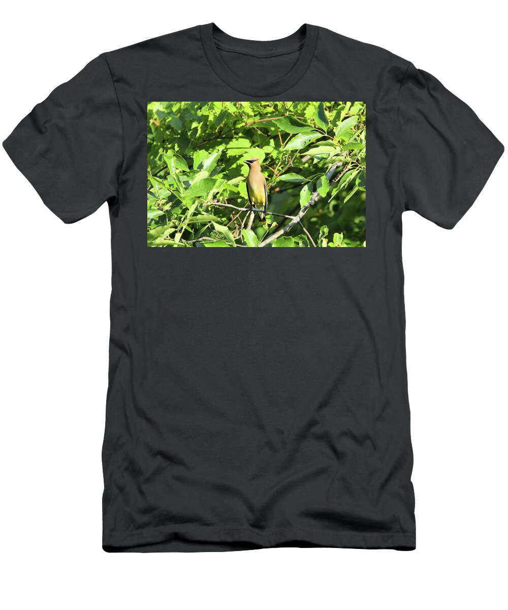 Wildlife T-Shirt featuring the photograph Sitting Pretty by David Stasiak