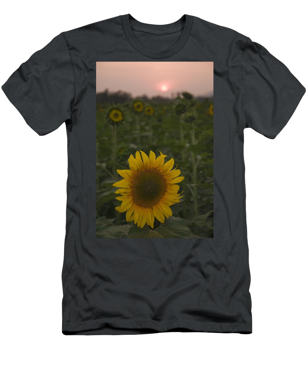 Sun T-Shirt featuring the photograph SKN 2181 Sunflower and Sunset by Sunil Kapadia