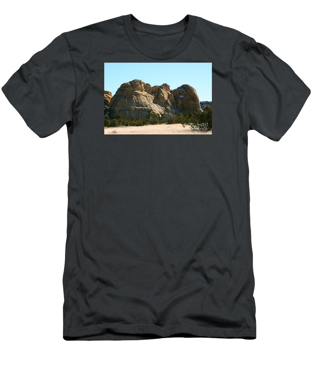 Southwest Landscape T-Shirt featuring the photograph Sleeping elephant by Robert WK Clark
