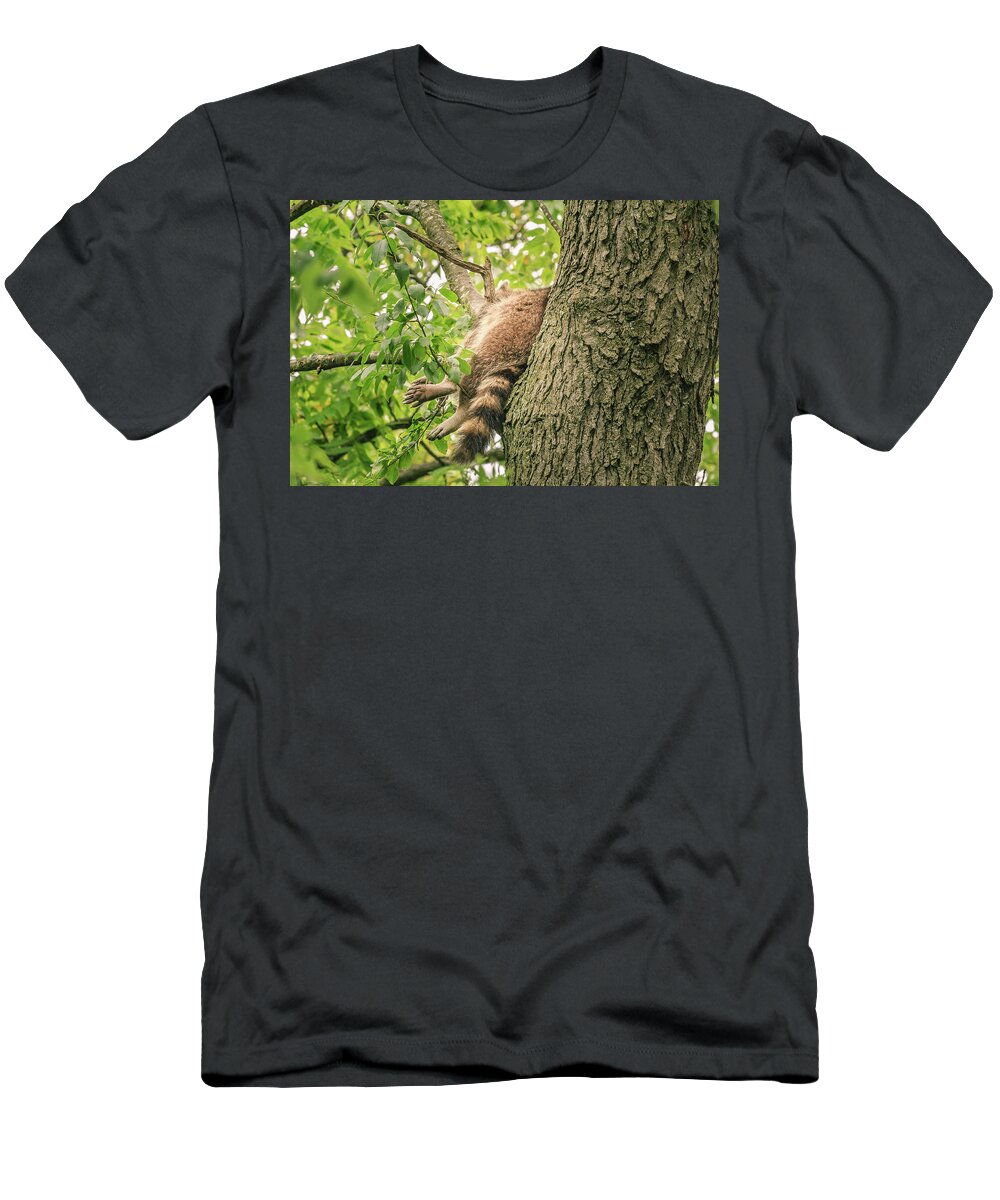 Danada T-Shirt featuring the photograph Sleeping Racoon by Joni Eskridge