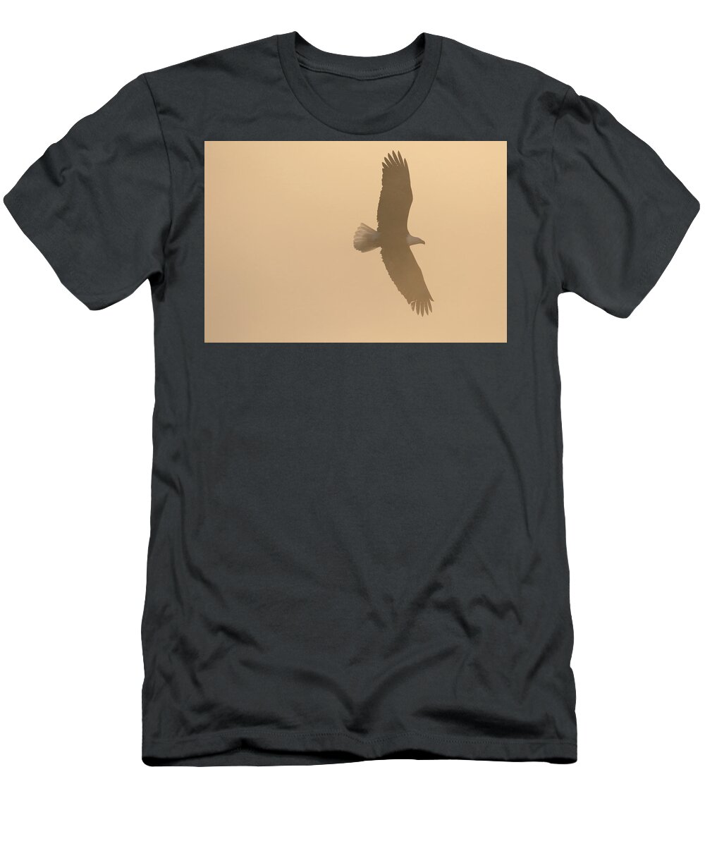 Eagle T-Shirt featuring the photograph Slicing Through The Fog by Brook Burling