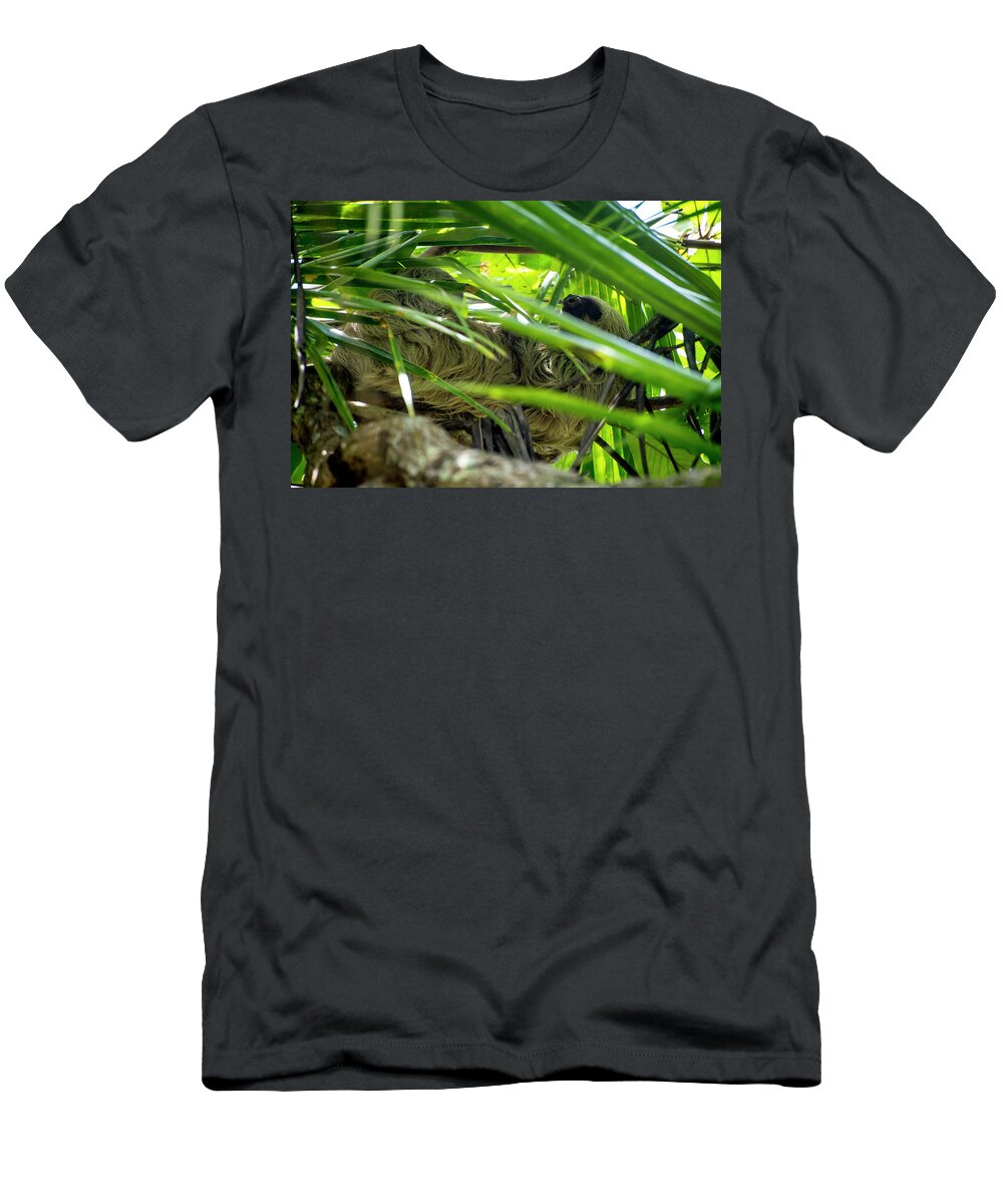 Sloth T-Shirt featuring the photograph Sloth Life by David Morefield
