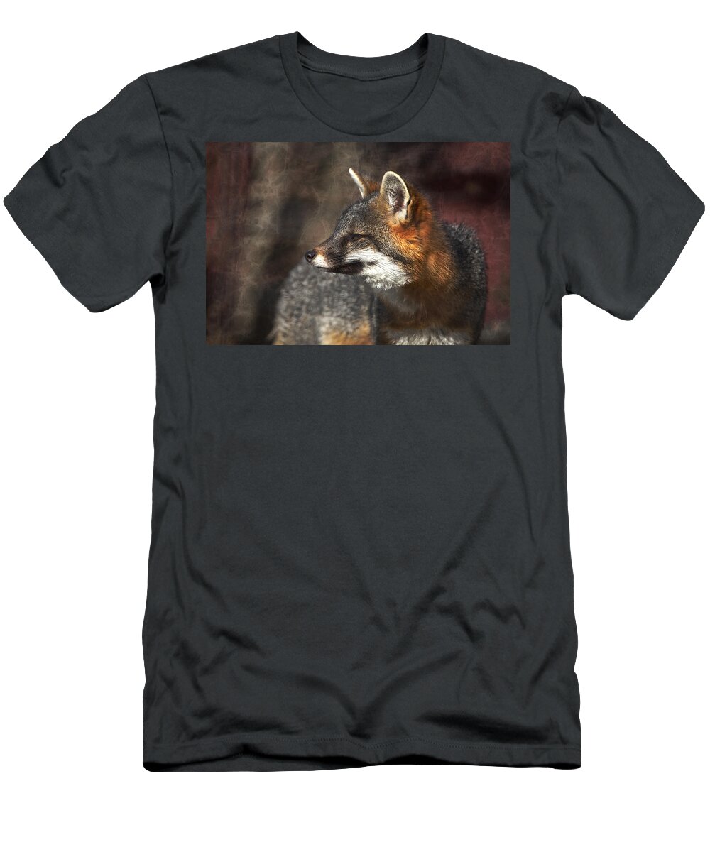 Gray Fox T-Shirt featuring the photograph Sly As A Fox by Karol Livote