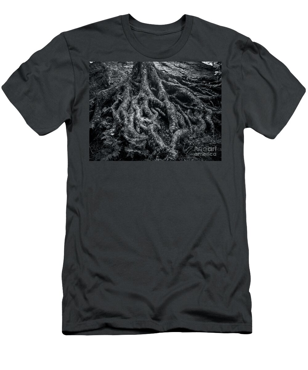 Trees T-Shirt featuring the photograph Smugglers' Notch Vermont Trees and Roots 2 by James Aiken