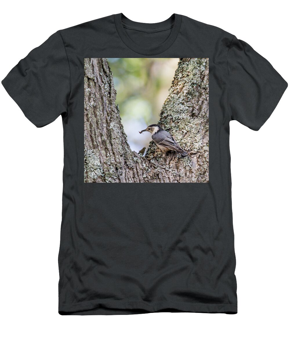 Nuthatch T-Shirt featuring the photograph Snack Time by Darryl Hendricks
