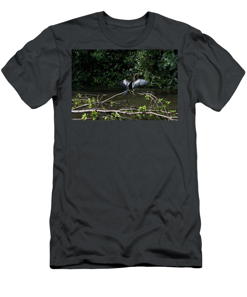 James David Phenicie T-Shirt featuring the photograph Snake Bird Perching by James David Phenicie