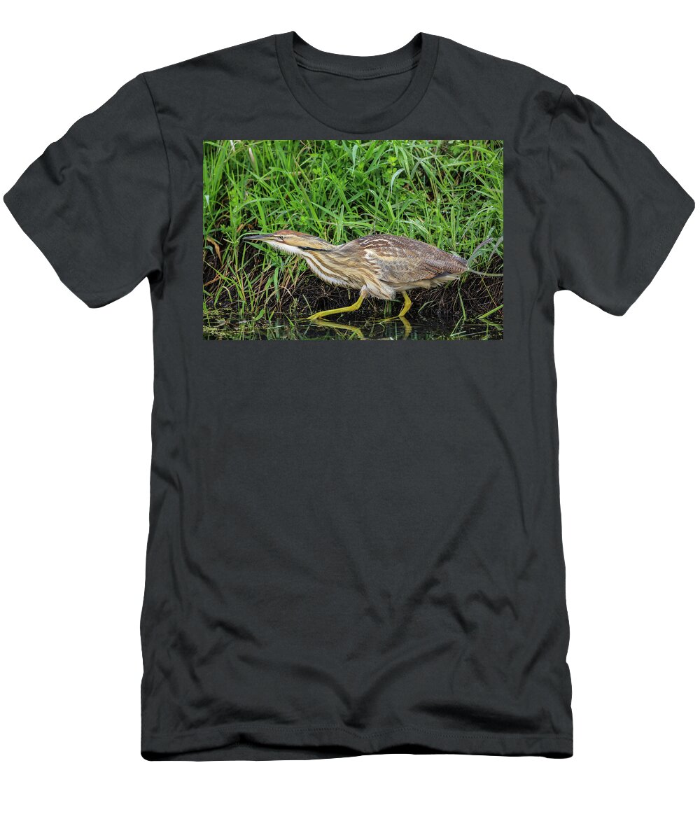 Sam Amato Photography T-Shirt featuring the photograph Sneaking Bittern by Sam Amato