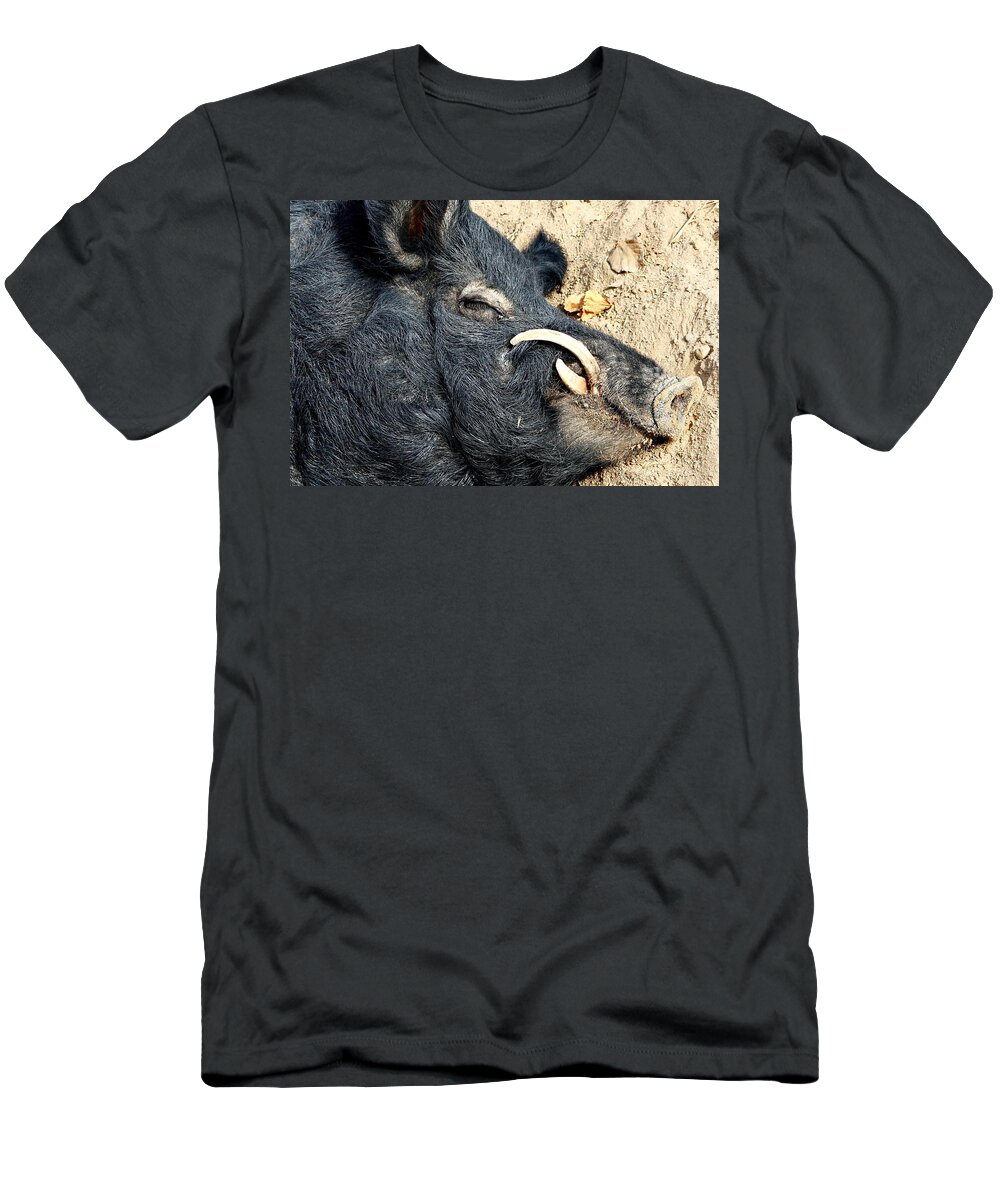 Kj Swan Mammals T-Shirt featuring the photograph Snoozin' Swine by KJ Swan