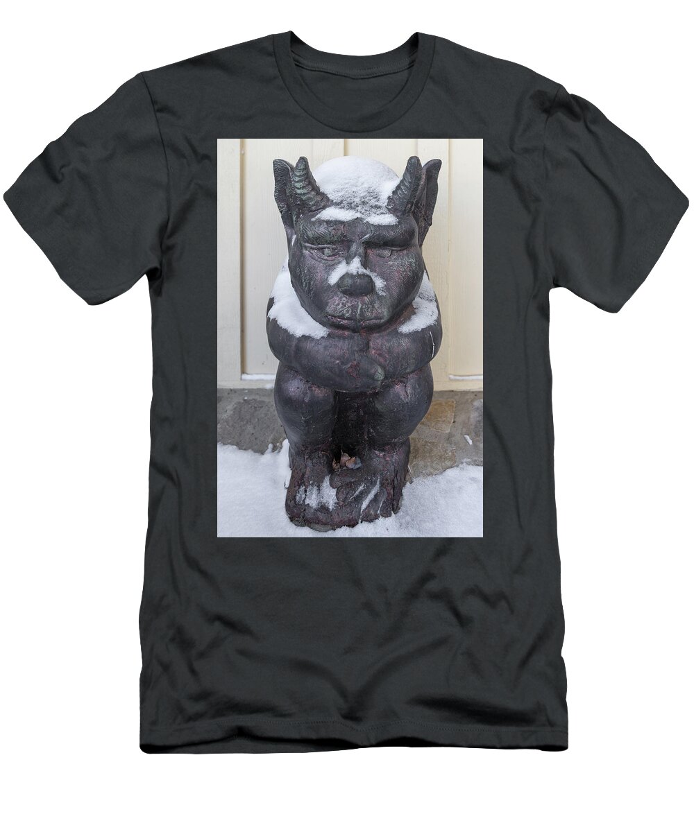 Chimera T-Shirt featuring the photograph Snow Covered Chimera by D K Wall