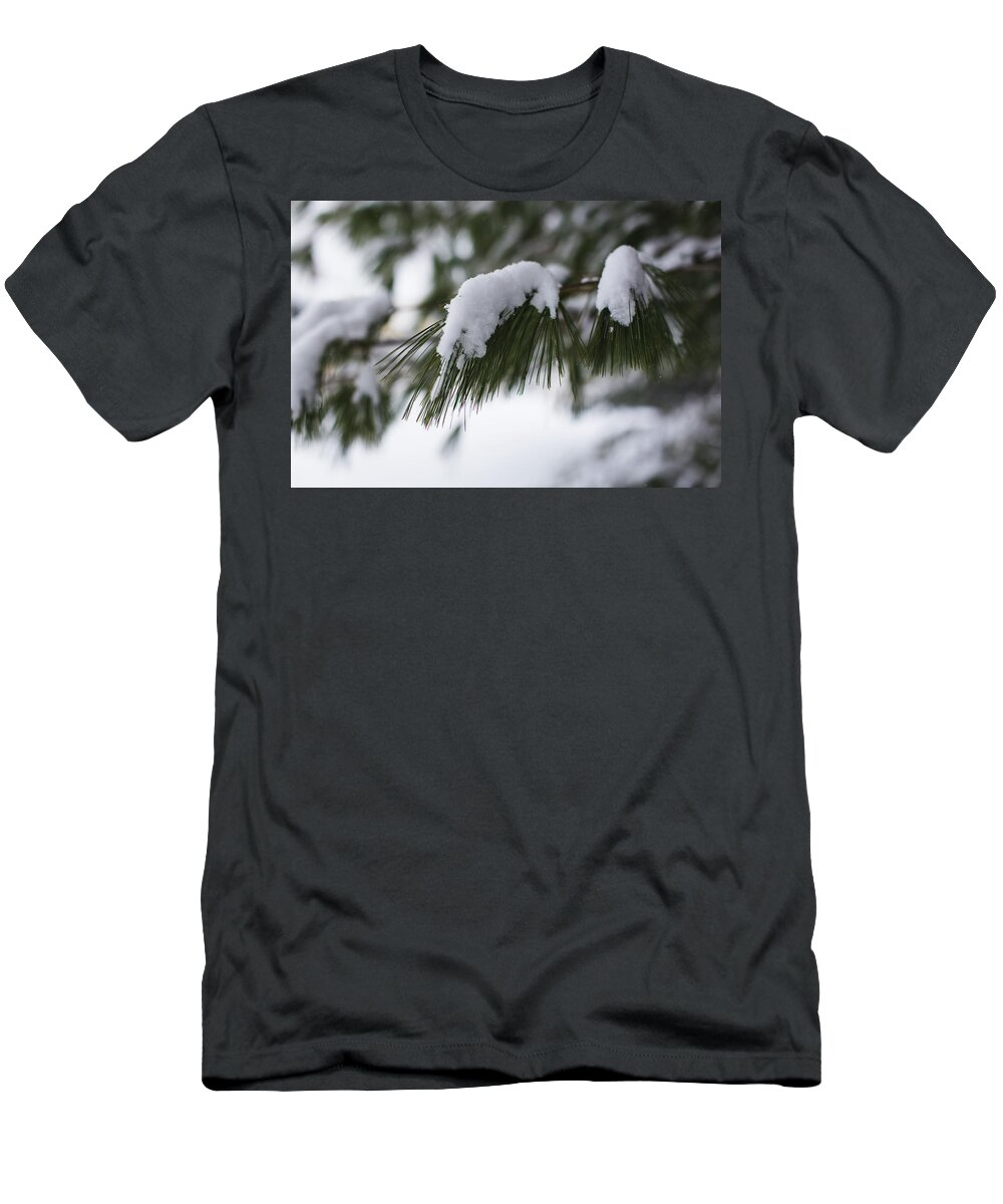Andrew Pacheco T-Shirt featuring the photograph Snow Falling on The White Pines by Andrew Pacheco