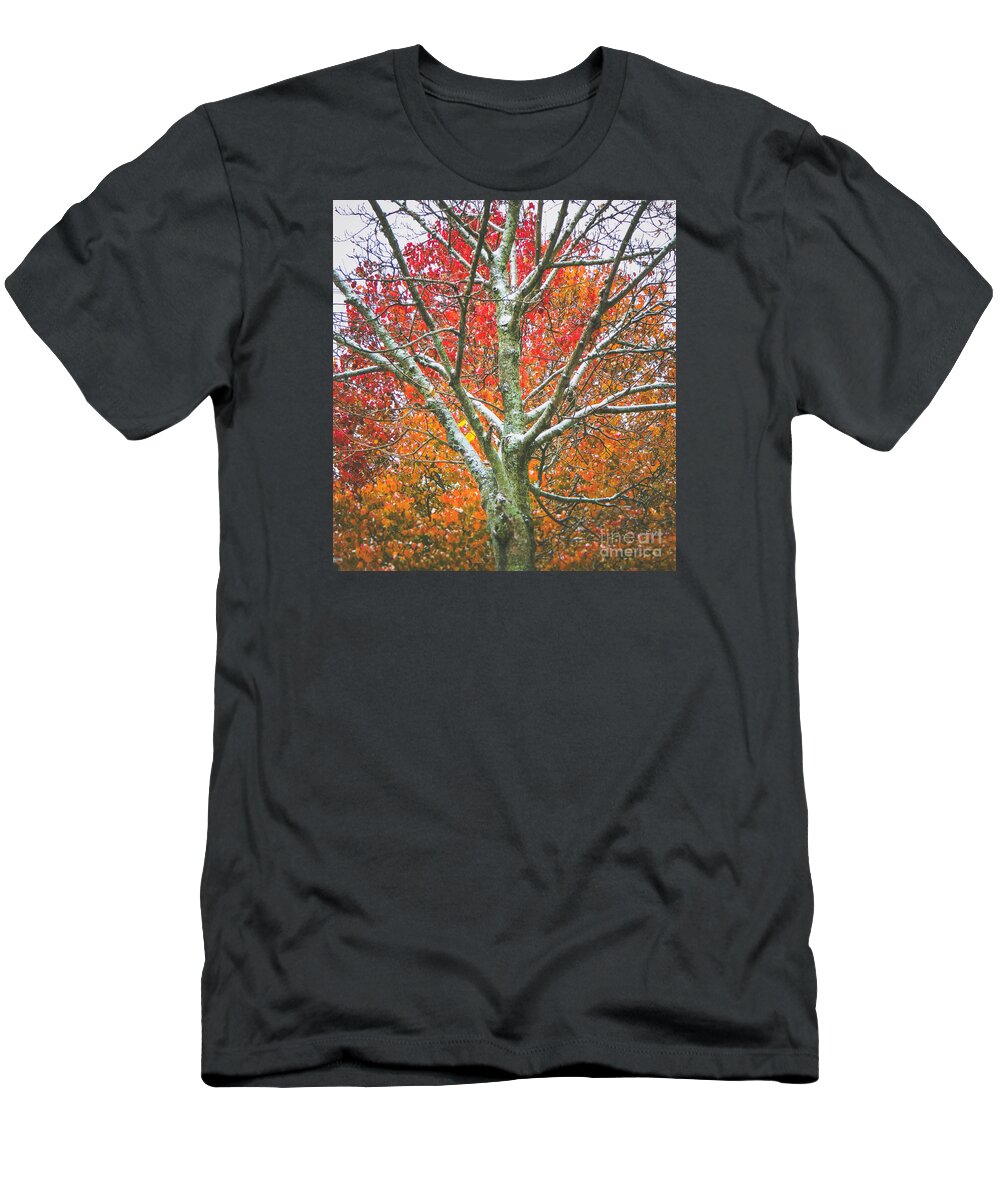 Winter T-Shirt featuring the photograph Snow falls 2 by Andrea Anderegg