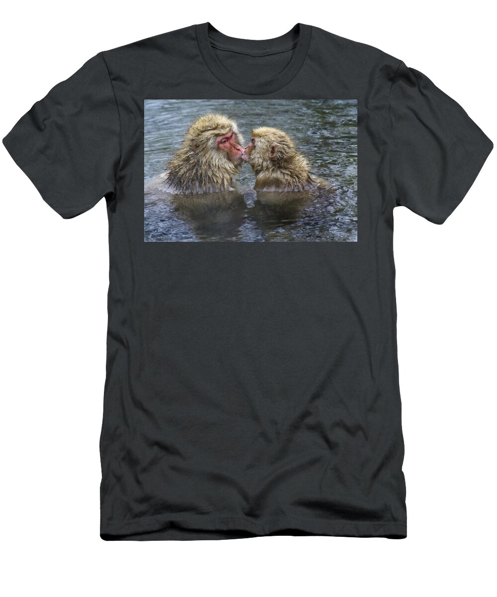 Snow Monkey T-Shirt featuring the photograph Snow Monkey Kisses by Michele Burgess