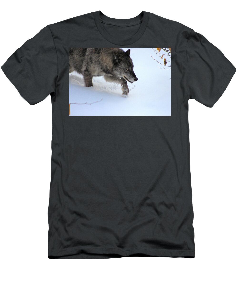 Wolf T-Shirt featuring the photograph Snow Walker by Azthet Photography