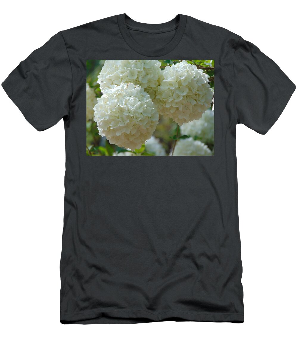 Landscape T-Shirt featuring the photograph Snowball by Richie Parks