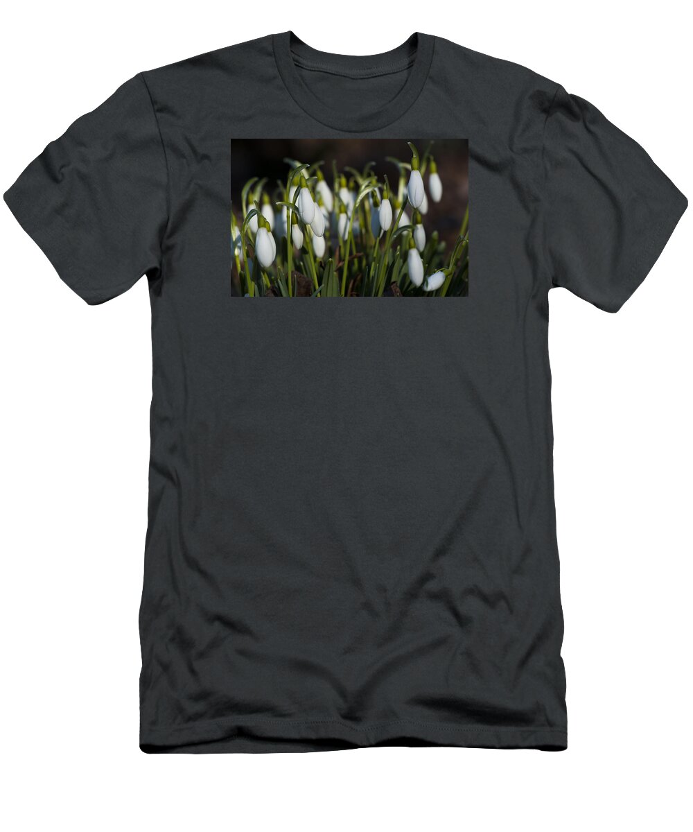  T-Shirt featuring the photograph Snowdrops by Dan Hefle