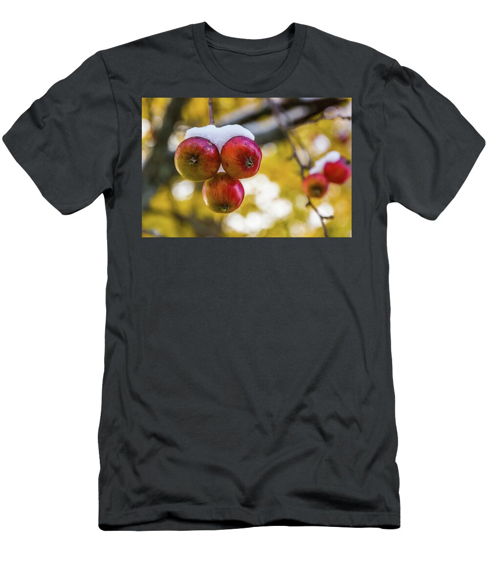 Apples T-Shirt featuring the photograph Snowy Apples by Tim Kirchoff