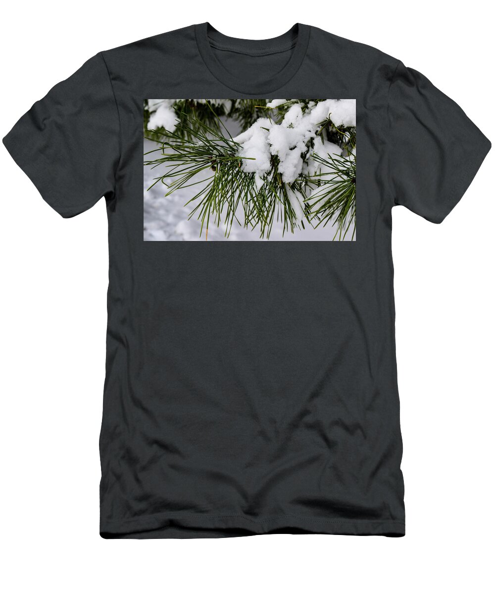 Snow T-Shirt featuring the photograph Snowy Branch by Nicole Lloyd