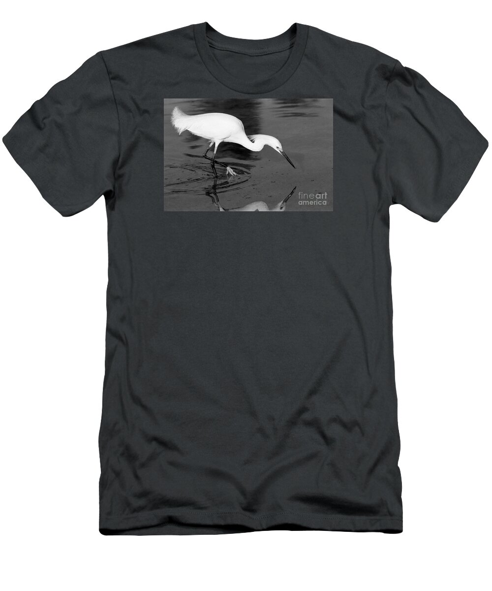 Egret T-Shirt featuring the photograph Snowy Egret Fishing by John Harmon