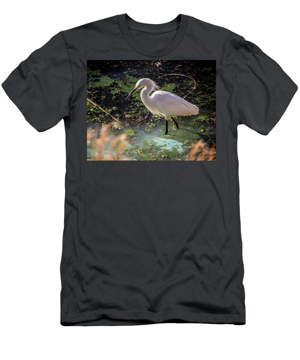 Wildlife T-Shirt featuring the photograph Snowy Egret II by Steph Gabler