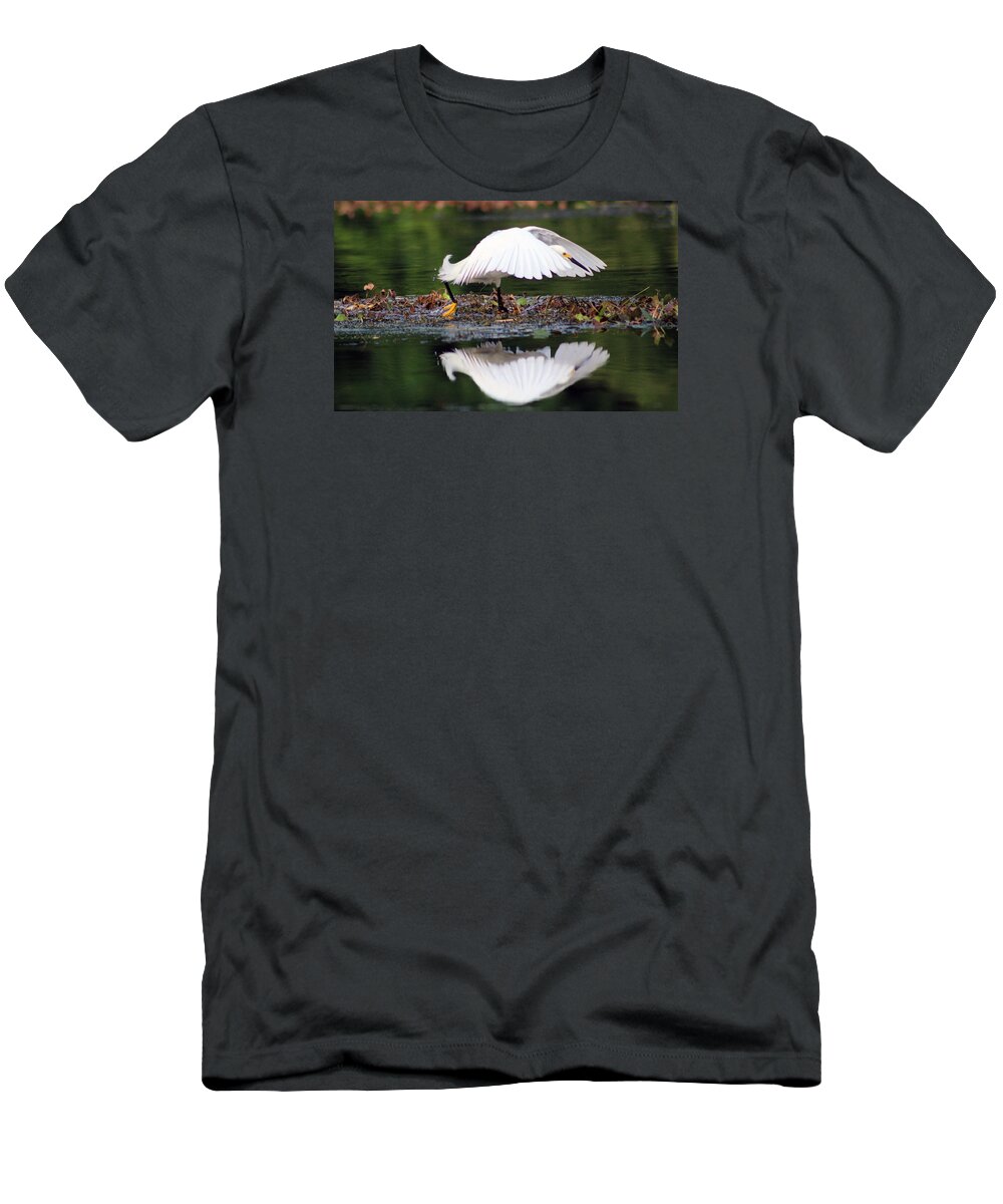 Bird T-Shirt featuring the photograph Snowy Egret Taking Flight by DB Hayes
