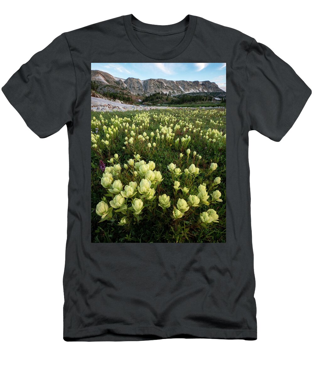 Indian Paintbrush T-Shirt featuring the photograph Snowy Range Paintbrush by Emily Dickey