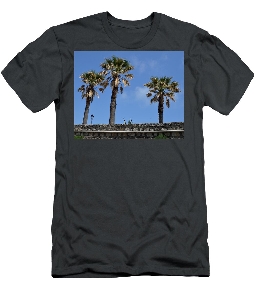 Sun T-Shirt featuring the photograph Soaking Up the Sun by Erin Morie