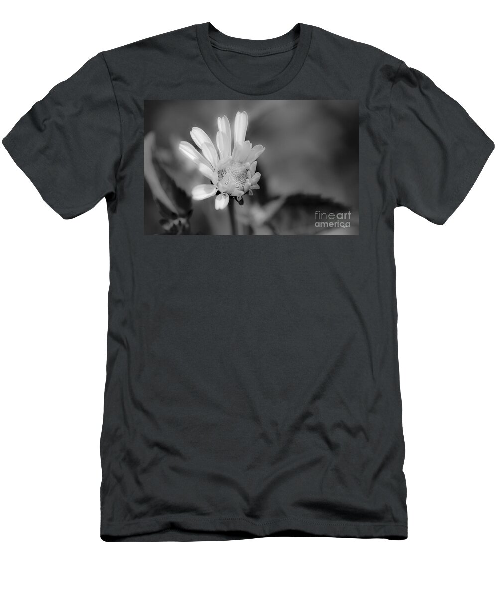 White T-Shirt featuring the photograph Soft White Petals by Alana Ranney