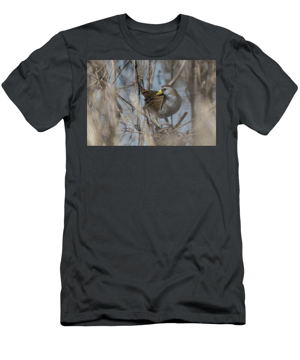 Ronnie Maum T-Shirt featuring the photograph Sora by Ronnie Maum