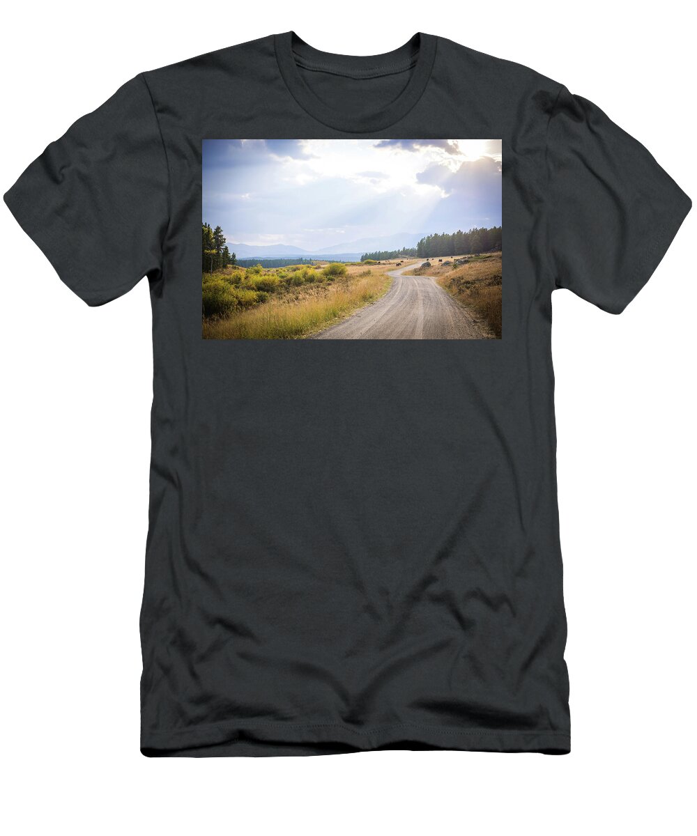 Landscape T-Shirt featuring the photograph South Dakota Black Hills by Aileen Savage