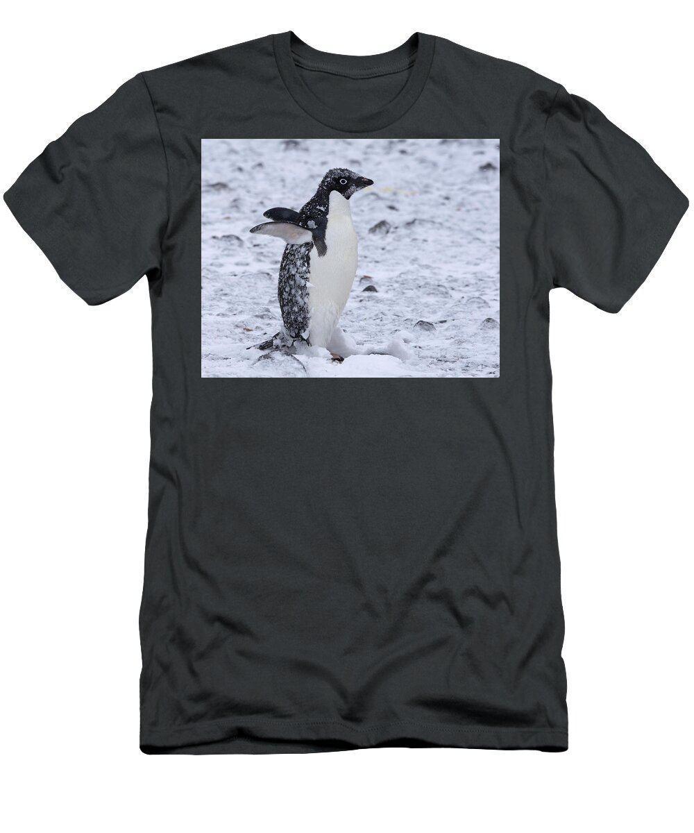 Adelie Penguin T-Shirt featuring the photograph Southern Comfort by Tony Beck