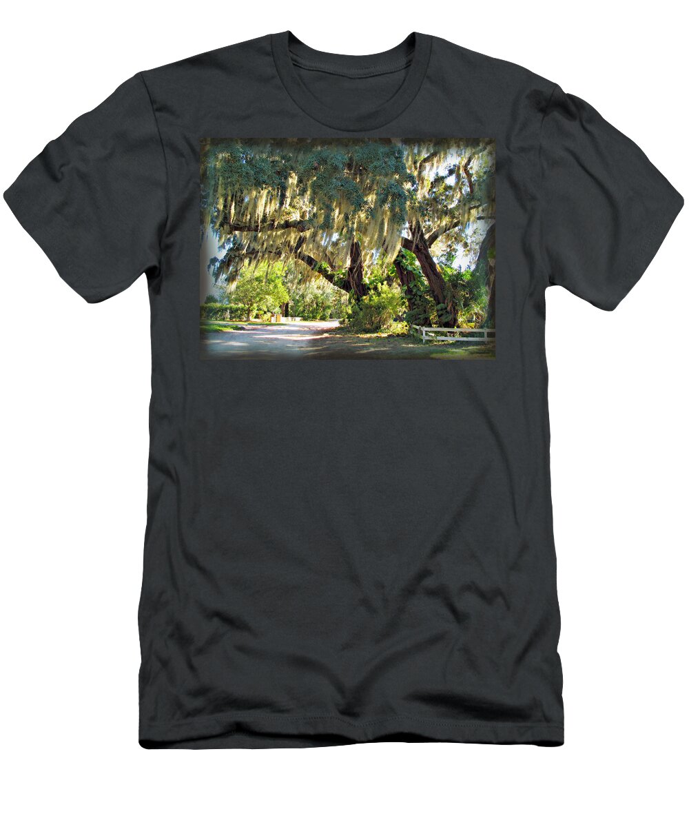 Orlando T-Shirt featuring the photograph Southern Pathway by Joan Minchak