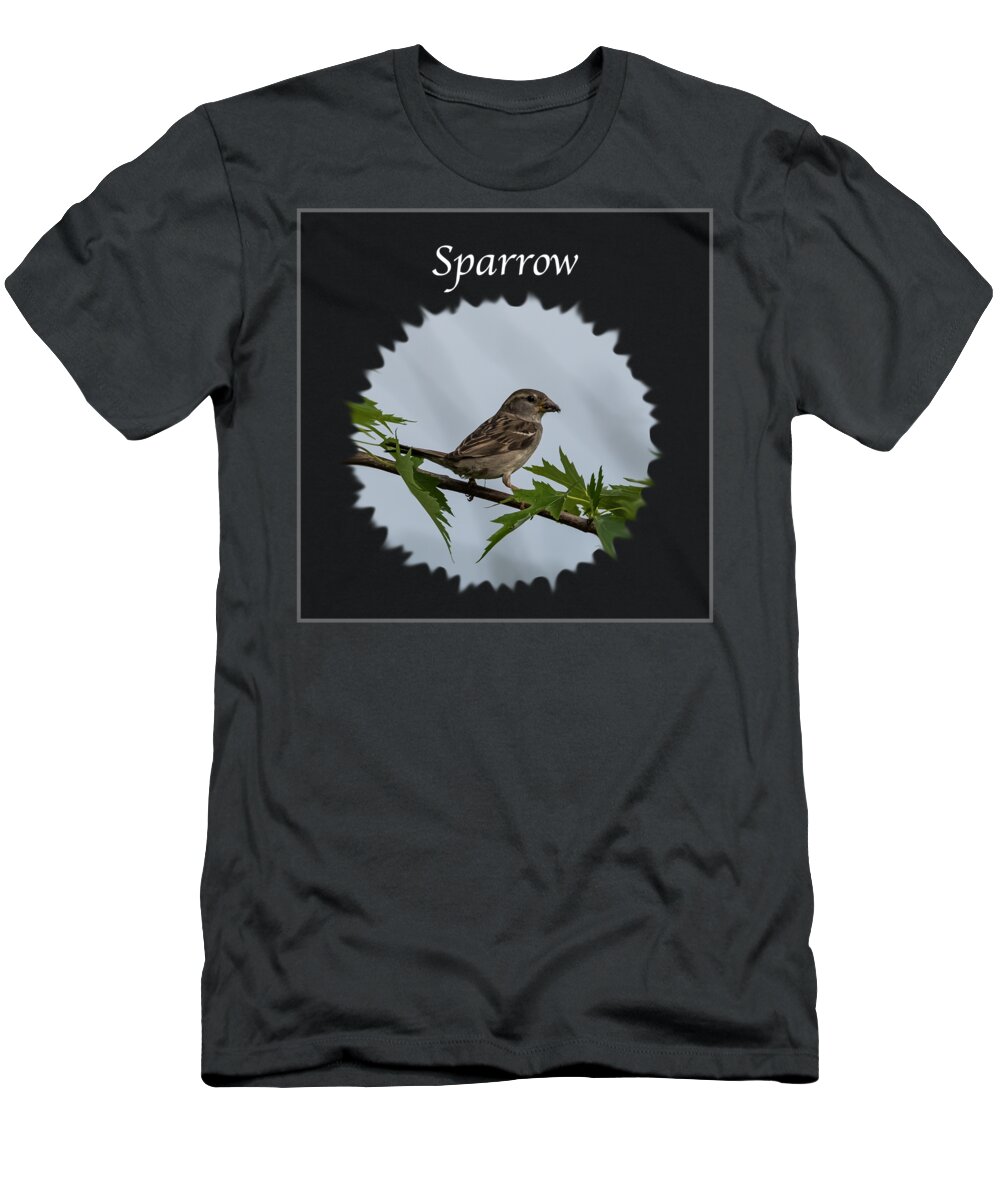 Sparrow T-Shirt featuring the photograph Sparrow  by Holden The Moment