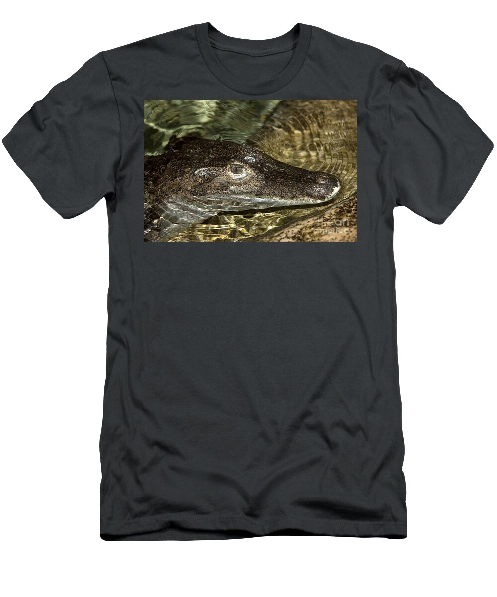 Adult T-Shirt featuring the photograph Spectacled Caiman Caiman Crocodilus by Gerard Lacz