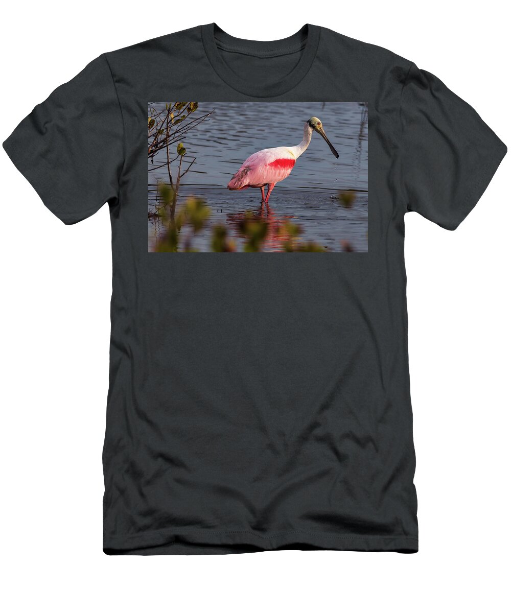 Birds T-Shirt featuring the photograph Spoonbill Fishing by Norman Peay