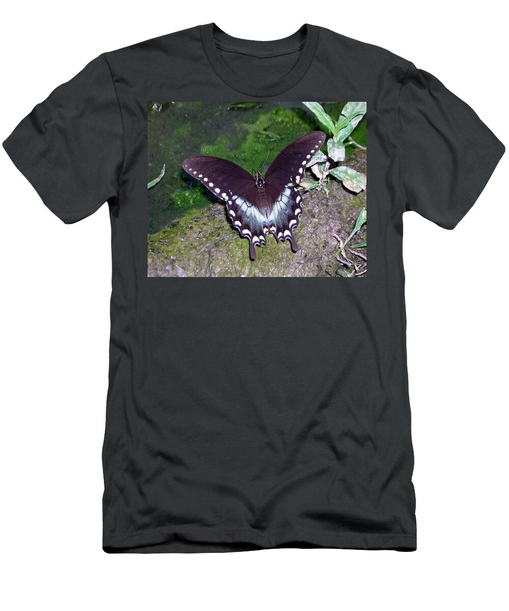 Butterfly T-Shirt featuring the photograph Spicebush Swallowtail Butterfly by George Jones