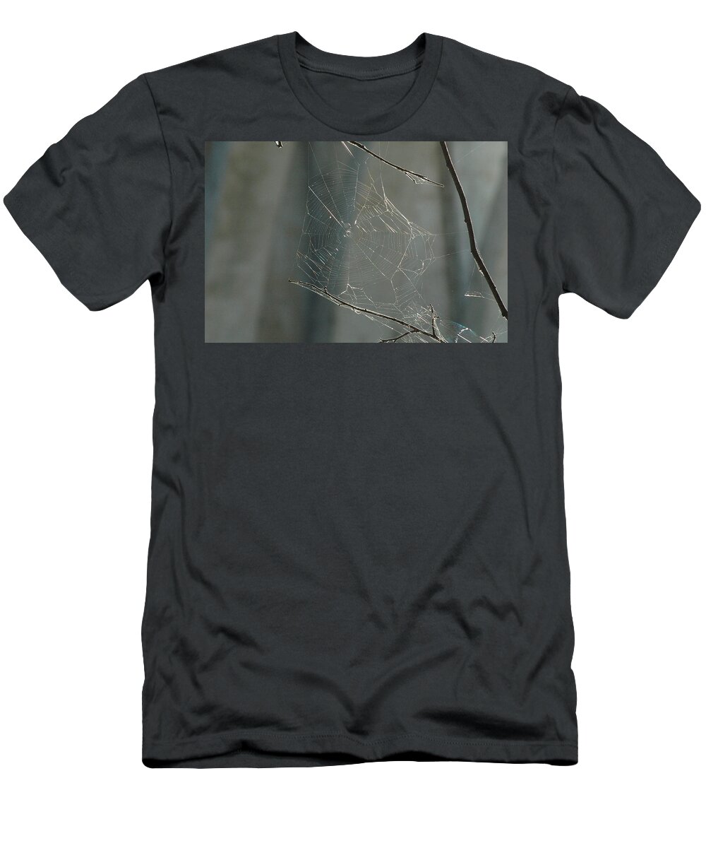 Spider Web T-Shirt featuring the photograph Spider art by Trish Hale