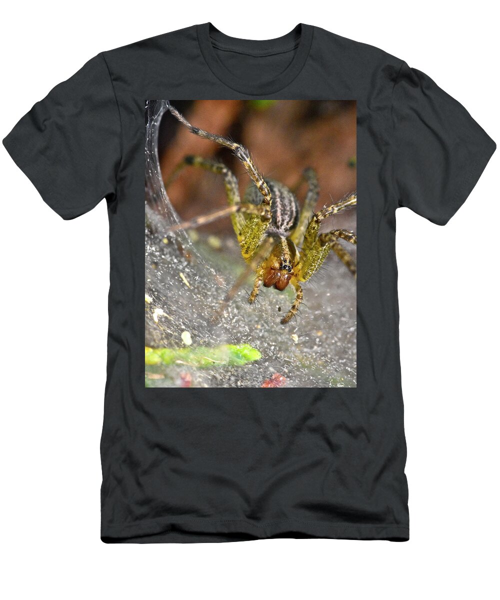 Wall Art T-Shirt featuring the photograph Spider by Jeffrey PERKINS