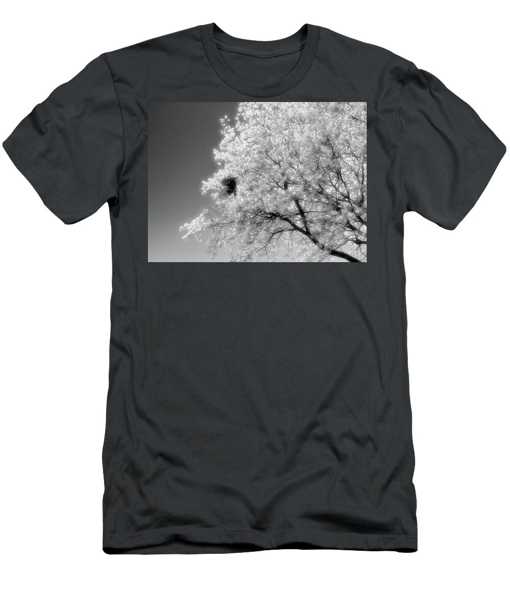 Black And White T-Shirt featuring the photograph Spiderman In A Tree 2 by Lyle Crump