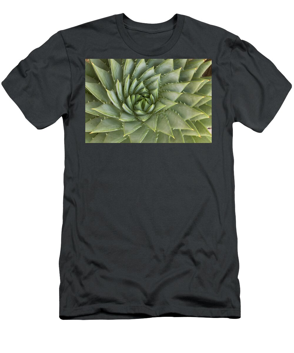00429855 T-Shirt featuring the photograph Spiral Aloe Santa Cruz California by Sebastian Kennerknecht