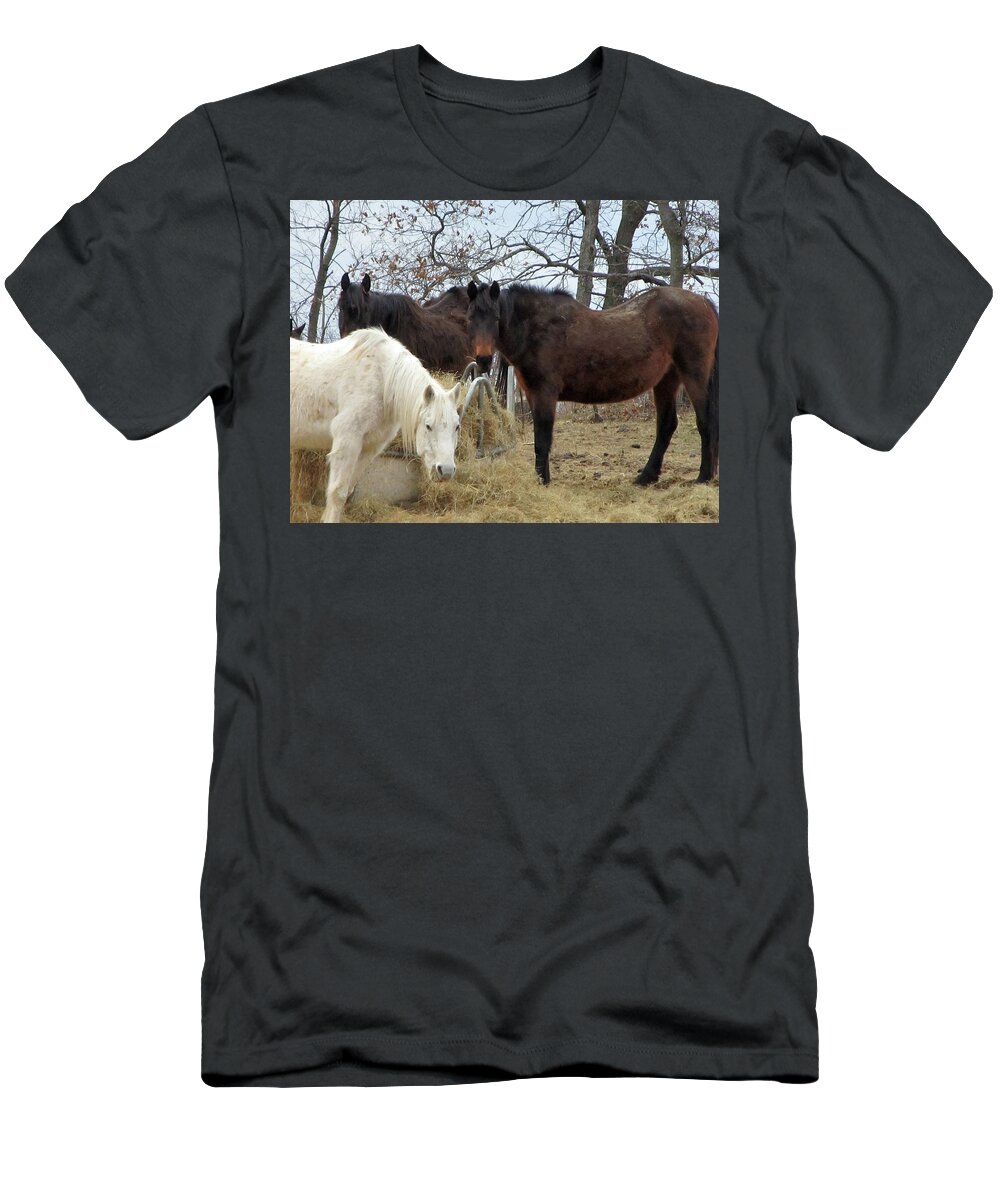 Animals T-Shirt featuring the photograph Spirit Ride by Robert Nacke